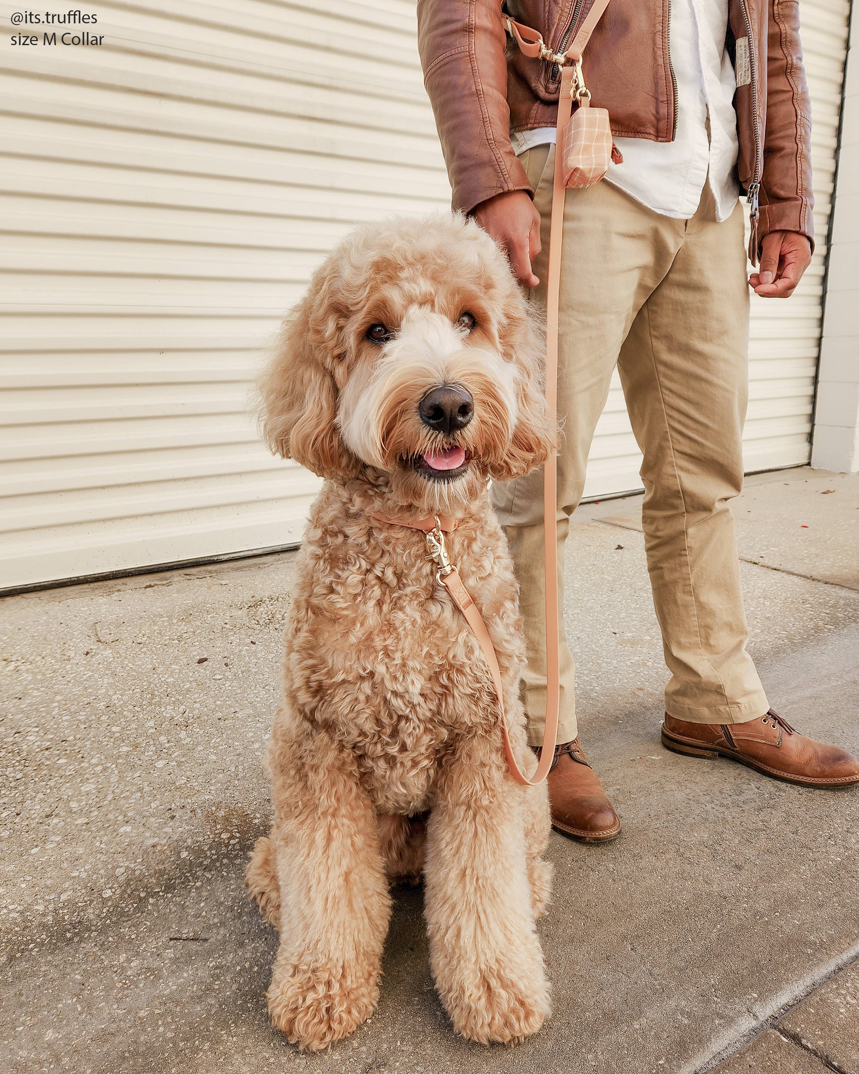 Chai Brown Waterproof Dog Collar