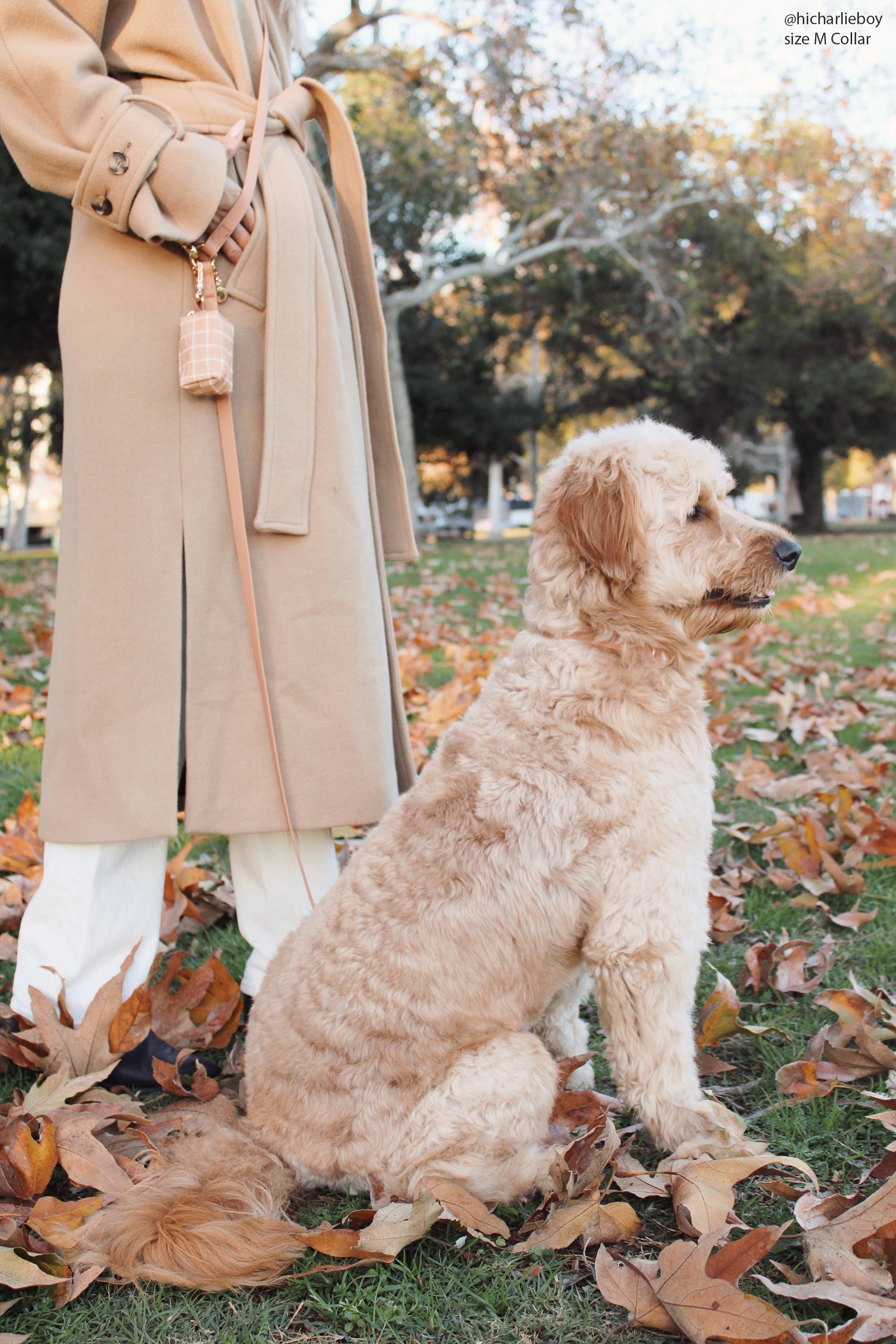 Chai Brown Waterproof Dog Collar