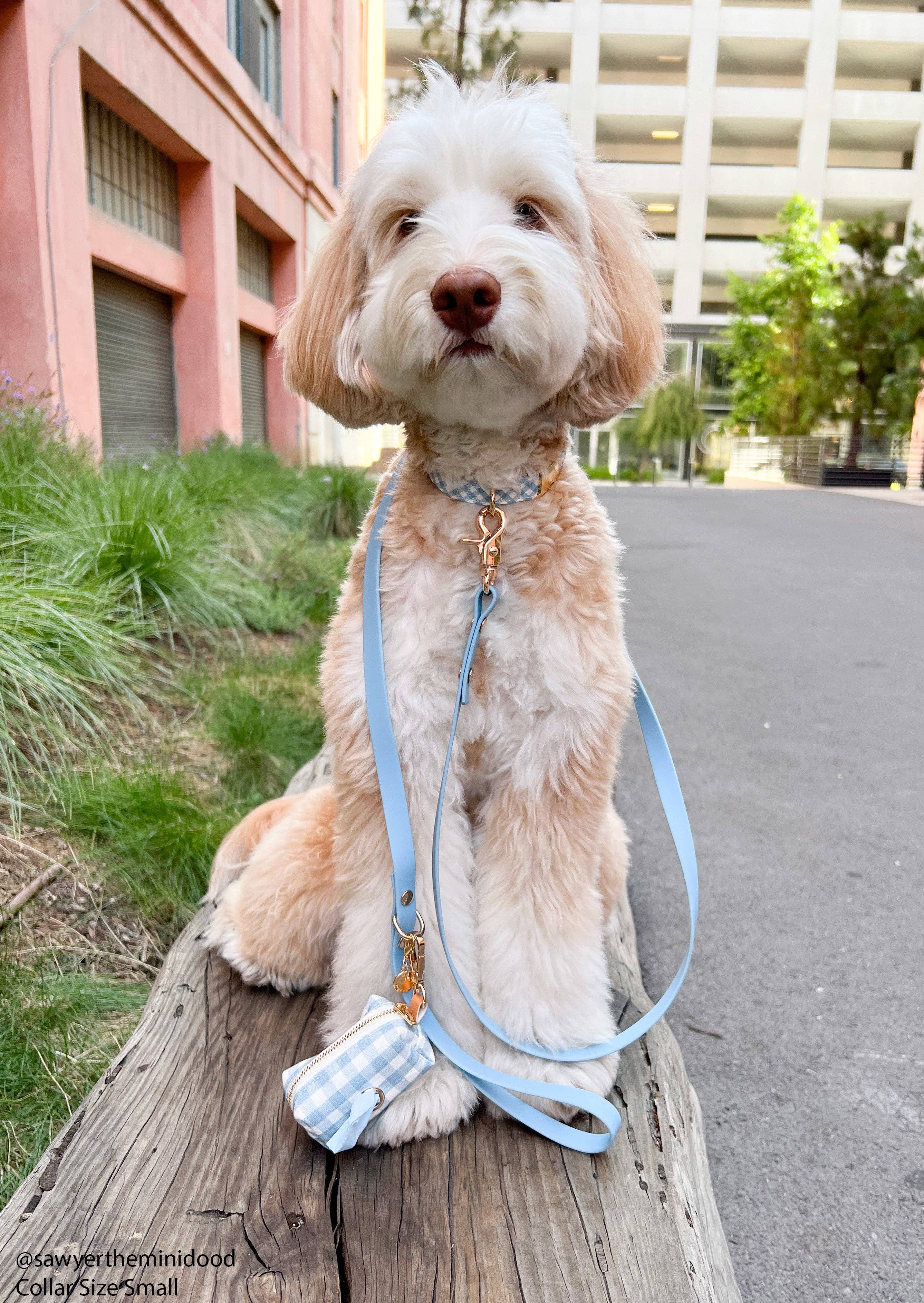 Malibu Blue Gingham Waterproof Dog Collar