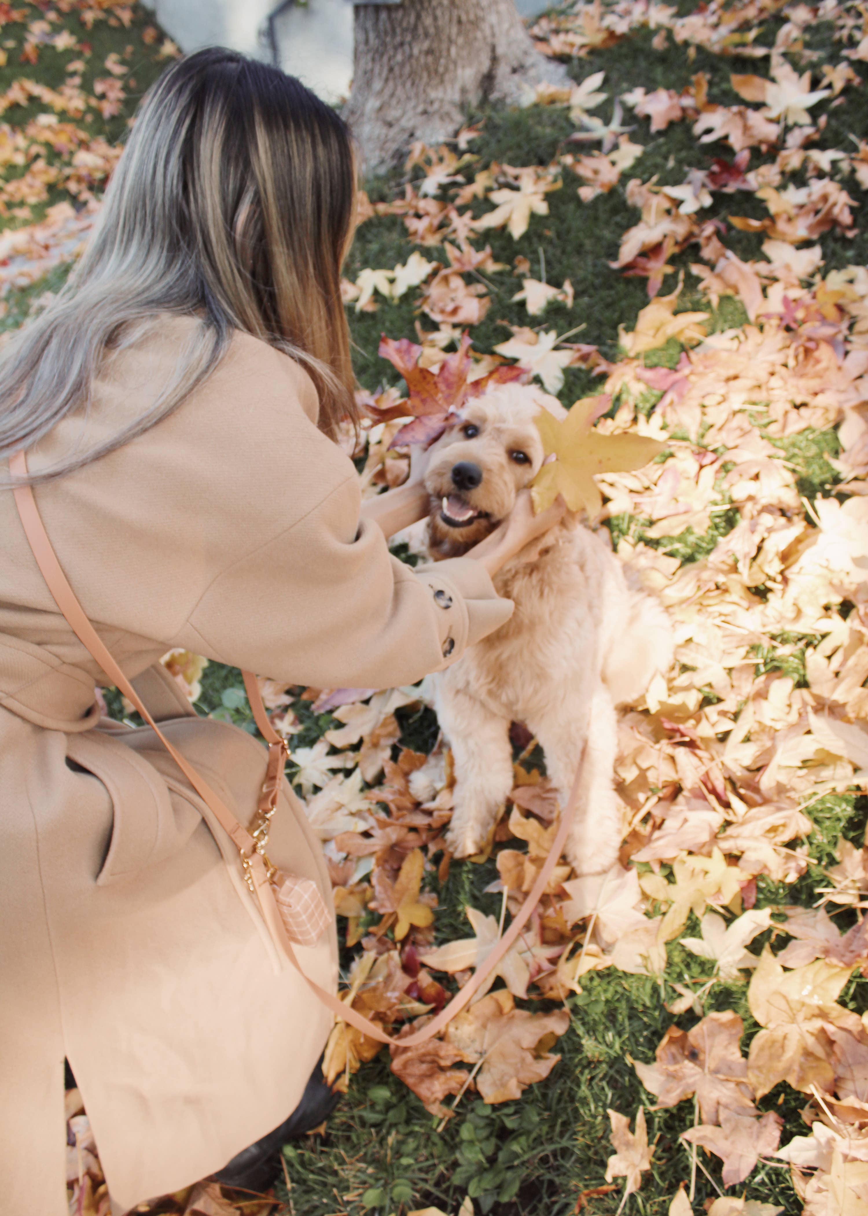 Chai Brown 4-in-1 Convertible Hands Free Cloud Dog Leash